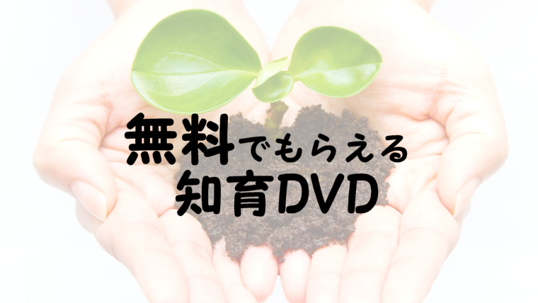 お得情報 無料でもらえる知育dvd２歳 5歳におすすめ 知育 体験 賢い子