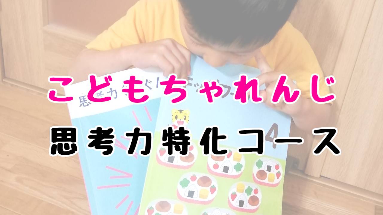 こどもちゃれんじすてっぷ 思考力特化コース感想ブログ 口コミ 知育 体験 賢い子